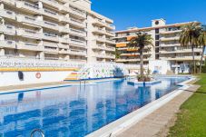 Apartamento en La Pineda - 02 - Aquamarina 425