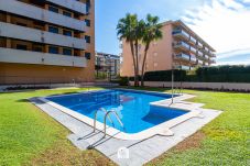 Apartamento en La Pineda - 02 - Amadeus