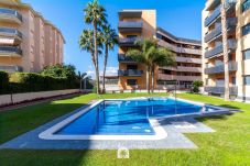 Apartament en La Pineda - 02 - Amadeus