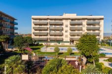 Apartament en La Pineda - 02 - Olivos 2E