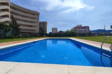 Apartament en Mont-Roig del Camp - 06 - Miami Beach