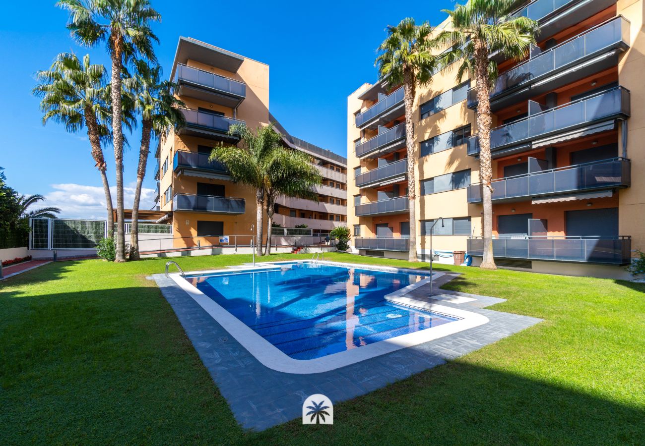 Apartment in La Pineda - 02 - Amadeus