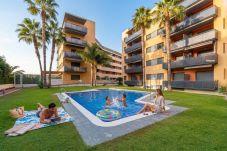Apartment in La Pineda - 02 - Amadeus